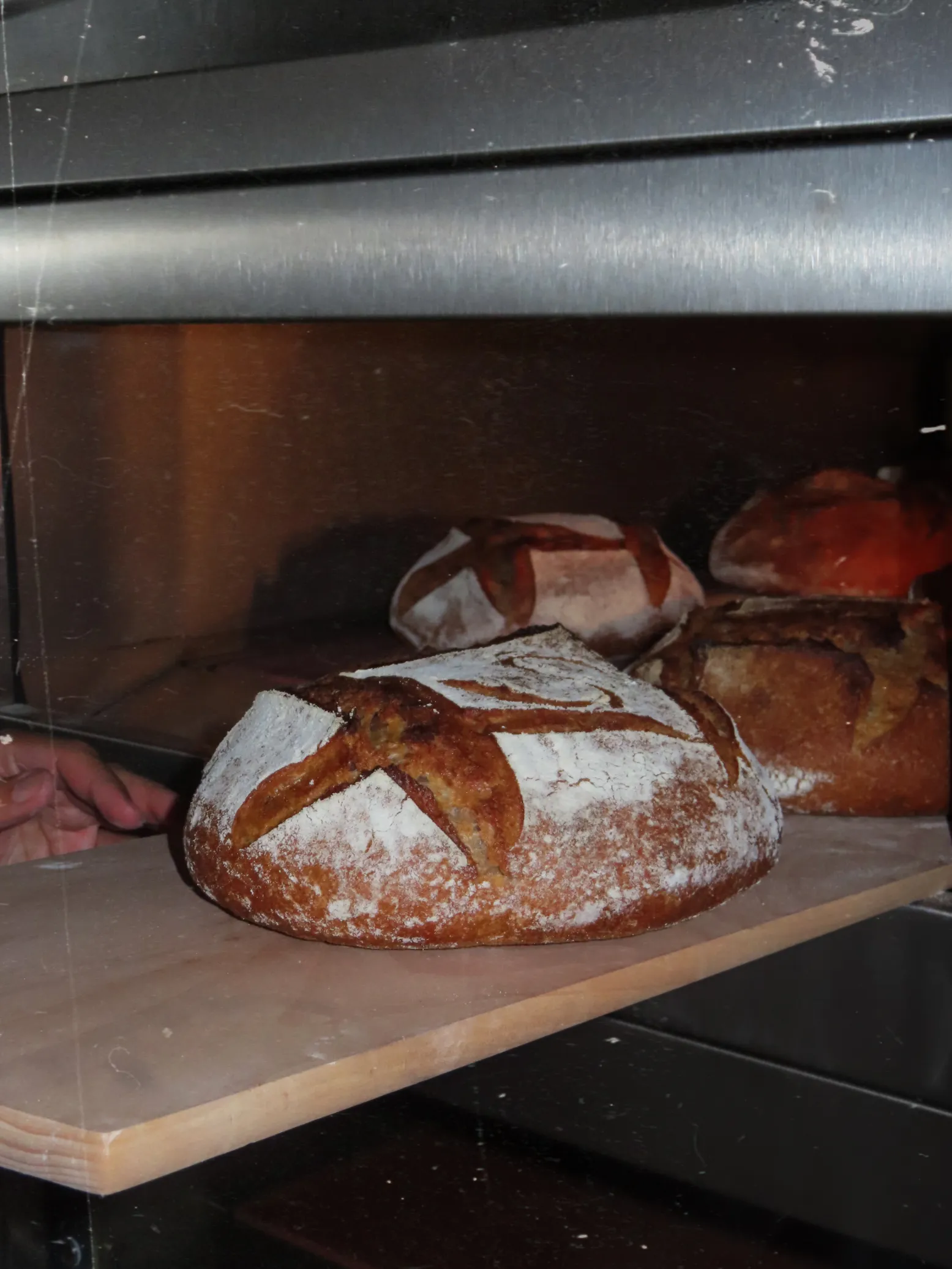 Fresh Sugarmom bread